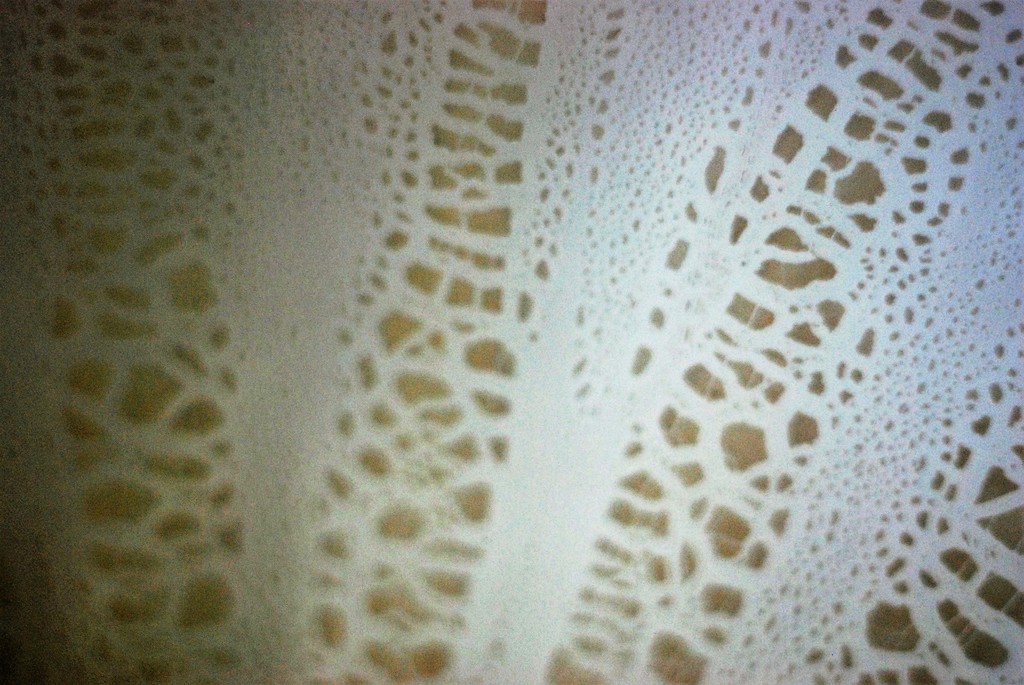 A.D. Copier - tincraquelé schaal kopen? Bied vanaf 95!