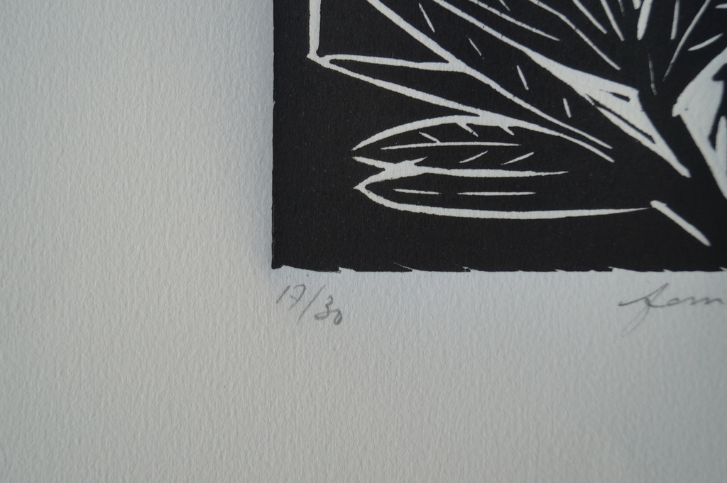 John Lie a Fo - femme oiseau - gesigneerde zeefdruk - 30 ex. - 1994 kopen? Bied vanaf 1!