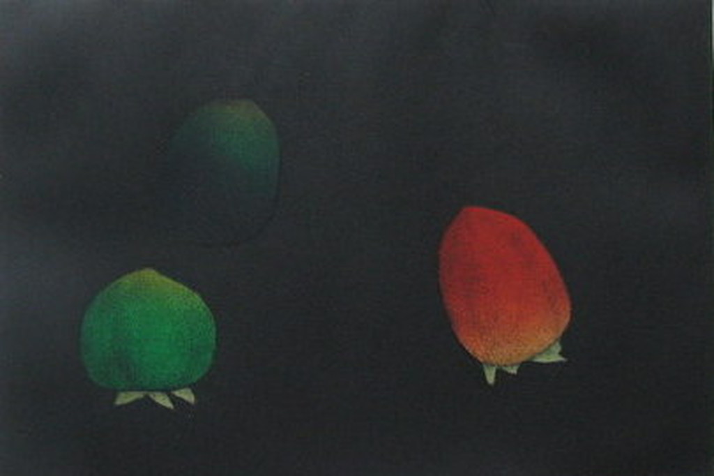 Tomoe Yokoi, "Kaki", mezzotint kopen? Bied vanaf 100!