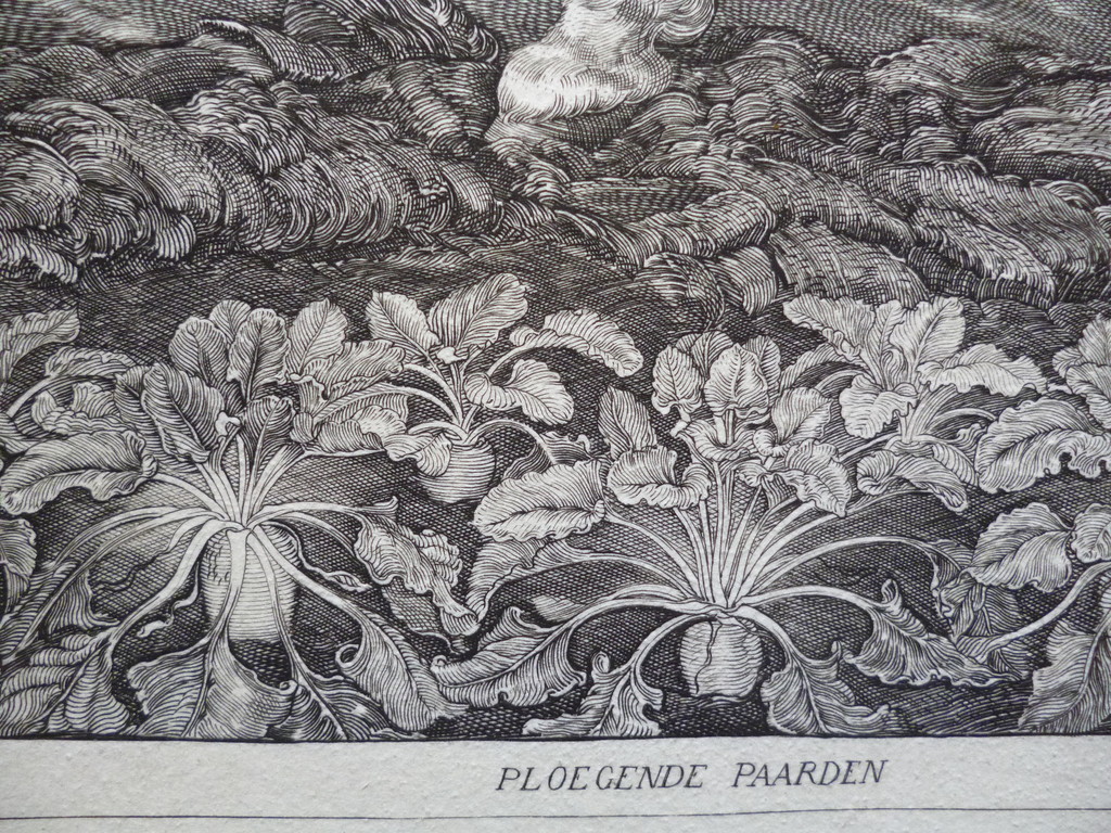 Pieter Dupont - gravure - Ploegende paarden kopen? Bied vanaf 135!