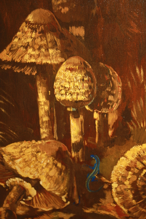 THEO GOEDVRIEND - PADDESTOELEN EN BLAUWE HAGEDIS kopen? Bied vanaf 139!