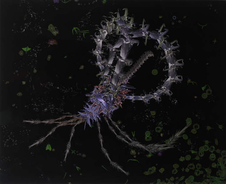 Jan van Nuenen: Lambdaprint, Transformation - Ingelijst kopen? Bied vanaf 1!