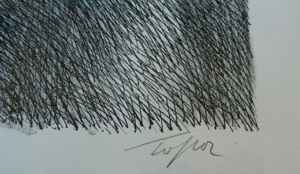 Roland Topor - ingelijste litho: Aide - 1977 kopen? Bied vanaf 85!