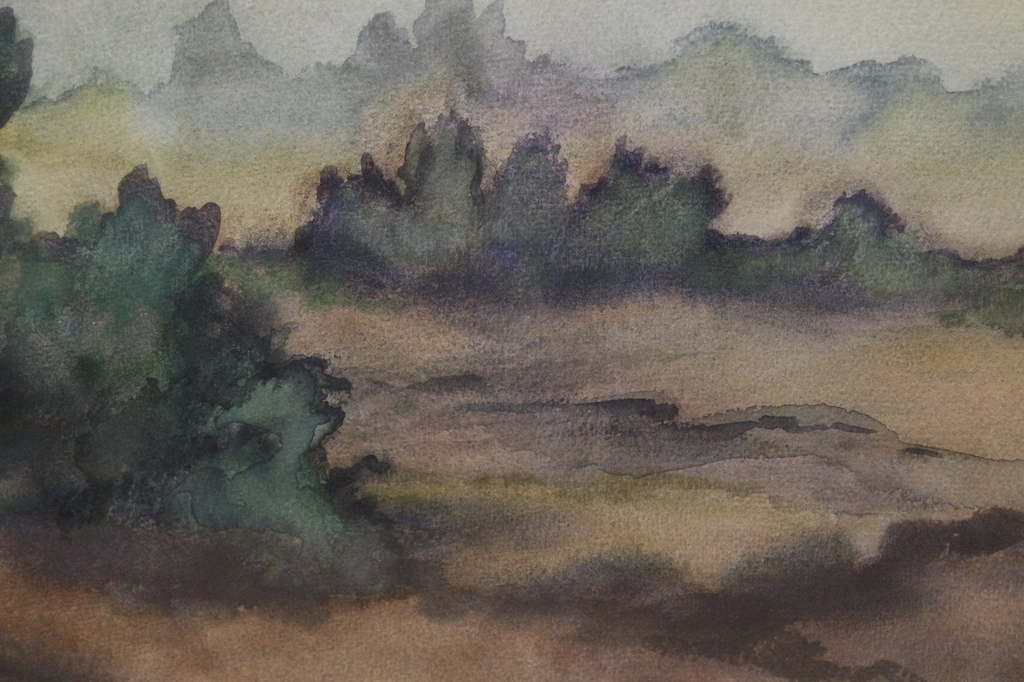Thijs Mauve (1915-1996) - aquarel - duinlandschap kopen? Bied vanaf 95!
