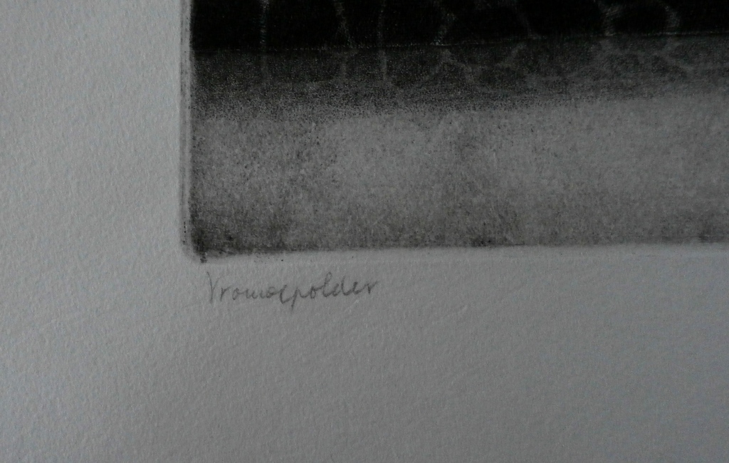 Henk van der Haar - ets: Vrouwenpolder - 1972 kopen? Bied vanaf 45!