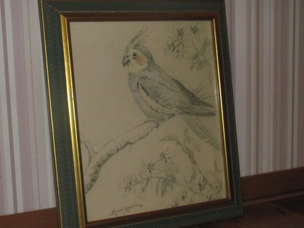 Marie Kelting (1886-1969) - gekleurde tekening van een valkparkiet kopen? Bied vanaf 10!