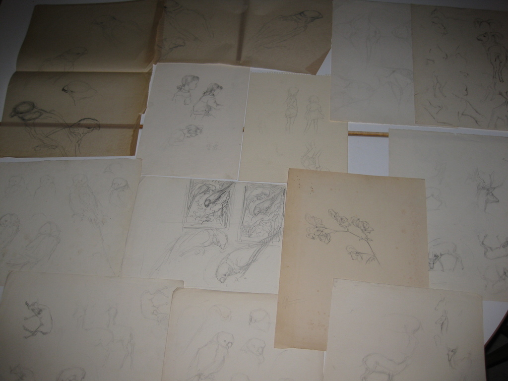 Tekeningen Leni Ijserinkhuijsen 13x kopen? Bied vanaf 1!