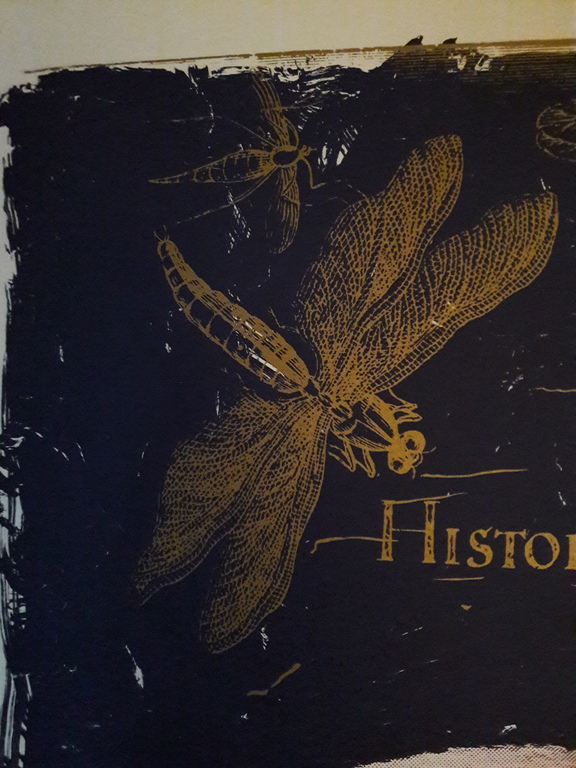 Pieter alewijns, bloemen in de nacht, zeefdruk,  kopen? Bied vanaf 500!