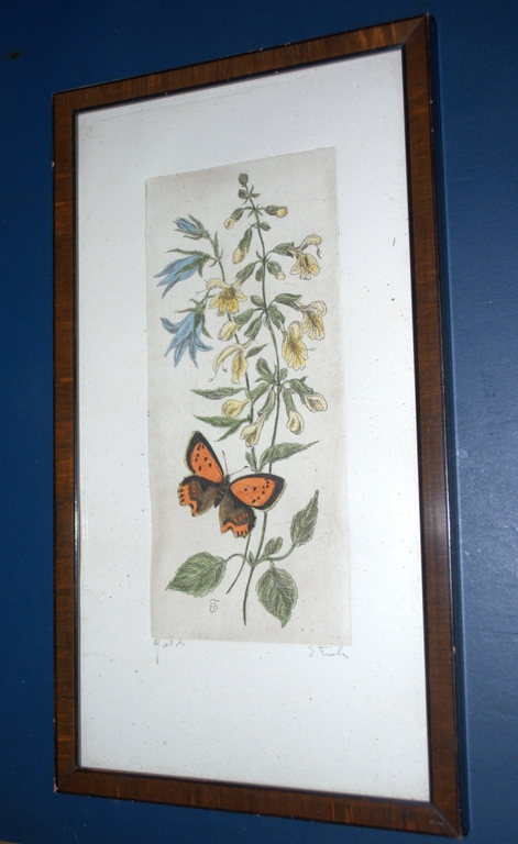 Vlinder en bloemen - gesigneerde kleurets kopen? Bied vanaf 25!