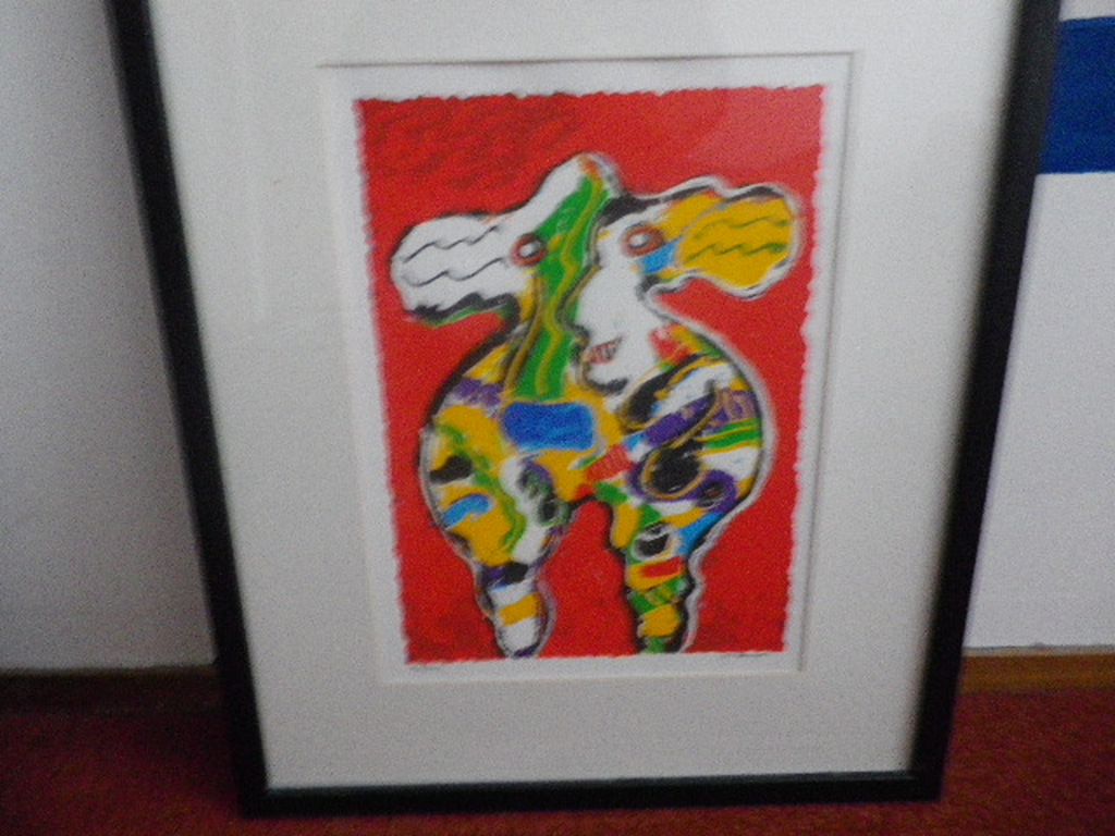 peter diem kopen? Bied vanaf 30!