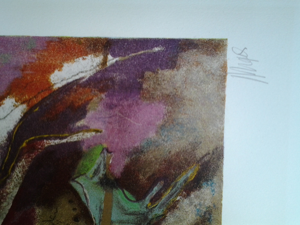 Astrid Engels Groot litho op zwaar papier   kopen? Bied vanaf 100!