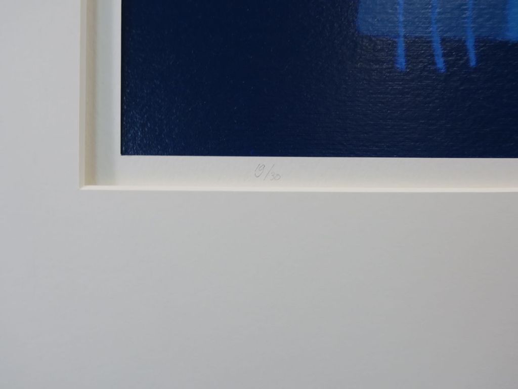 Cecile van Spronsen: Zeefdruk. Geometrische voorstelling kopen? Bied vanaf 1!