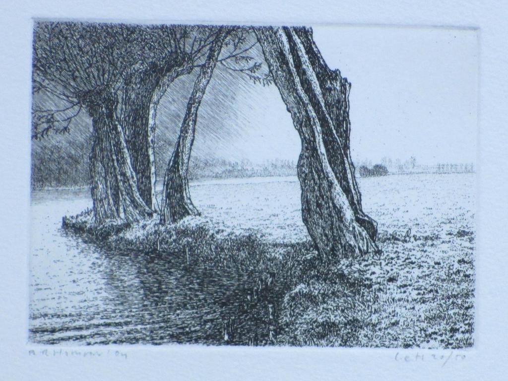 Reinder Homan, Knotwilgen bij slootkant, Ets verkocht voor € 40!