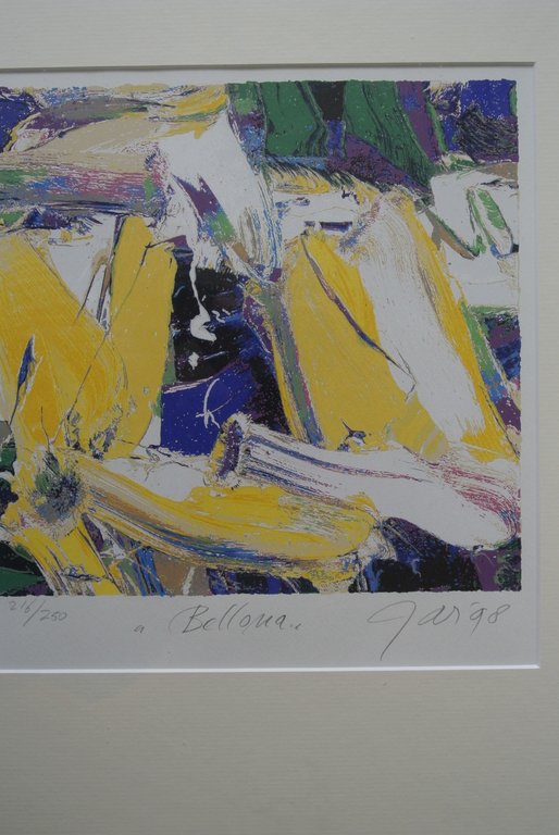 JAS. Zeer mooie en kleurrijke Zeefdruk 1998. Ingelijst.-BELLONA- kopen? Bied vanaf 69!