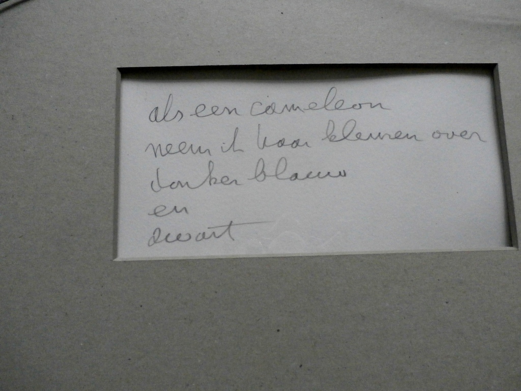Jan Montyn - ingelijste ets: Als een cameleon - 1998 kopen? Bied vanaf 125!