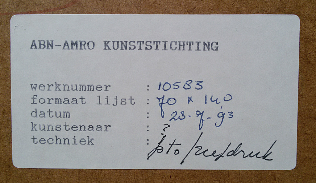 Michel Huisman - Snake (hiding), zeefdruk (ingelijst, groot) kopen? Bied vanaf 80!