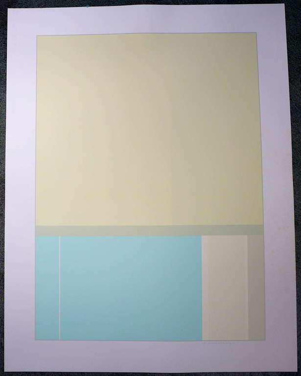 Frits Hesselink, zeefdruk uit 1982 oplage: eigendruk 9/25 beeldformaat 75 x 55 c kopen? Bied vanaf 10!