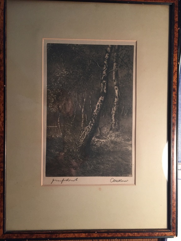 Casper Marinus Kouw, litho proefdruk, zonder titel (Berkenbos) kopen? Bied vanaf 1!