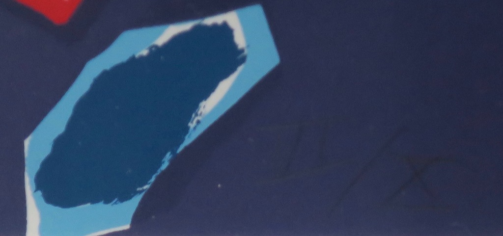 Bob Negryn: Zeefdruk, Stilleven -Ingelijst  kopen? Bied vanaf 40!