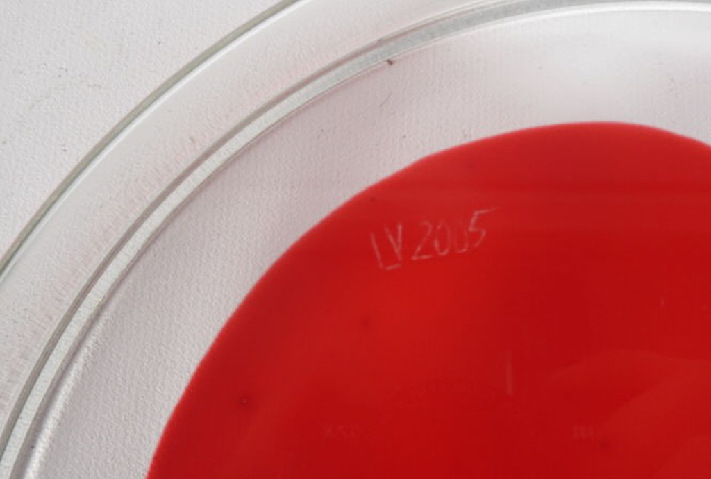 Lisette Verkerk: Beschilderd petrischaaltje, Origins kopen? Bied vanaf 35!