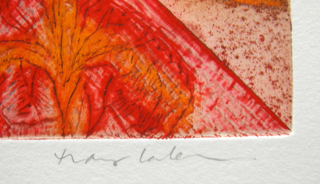 Hans Laban, kleurets, De Ziener kopen? Bied vanaf 1!