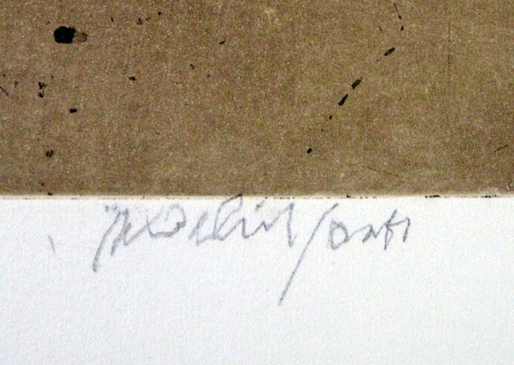 Willy Belinfante - HOLLAND - kleurets kopen? Bied vanaf 1!