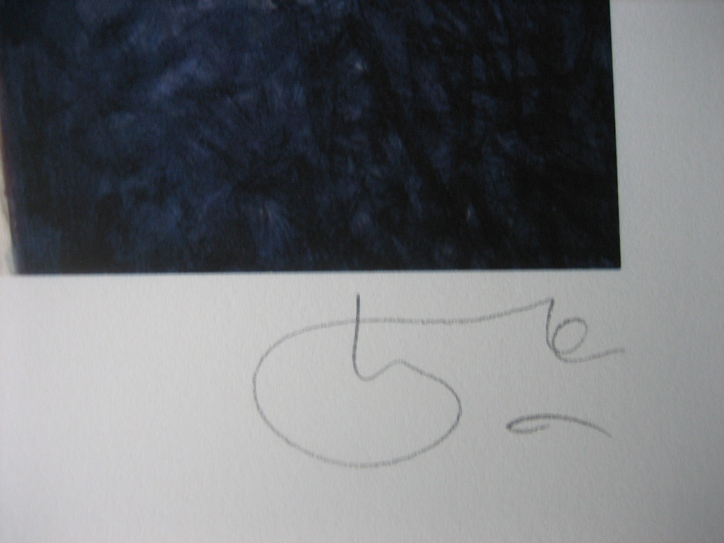 Willi Kissmer - Kleine Freiheit - Giclee - Handgesigneerd - 2016 kopen? Bied vanaf 85!