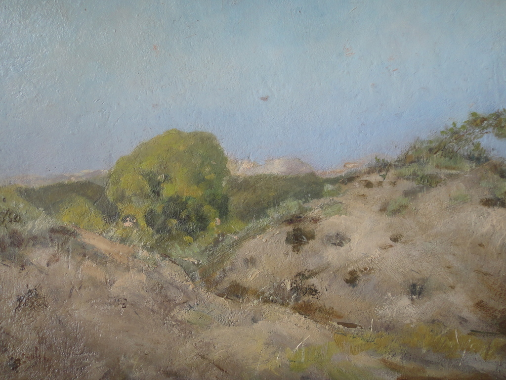 Johannes Baptista Crol, olieverf op board, Hollands duinlandschap kopen? Bied vanaf 1!