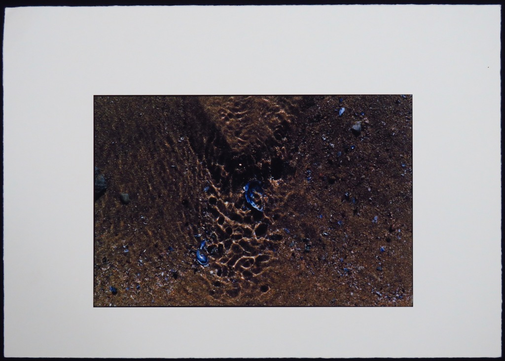 Bernard Ruygrok: Piezografie, Zonder titel kopen? Bied vanaf 1!