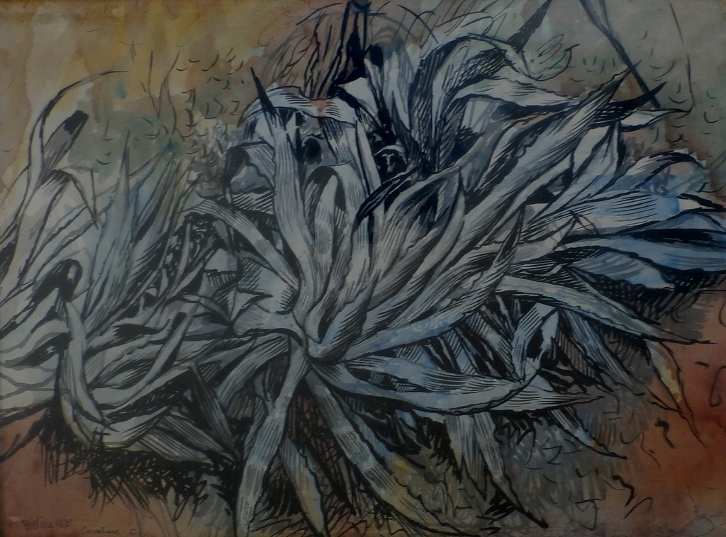 Herman Bieling - Ingelijste aquarel: Agave aan de Cote - 1951 verkocht voor € 175!