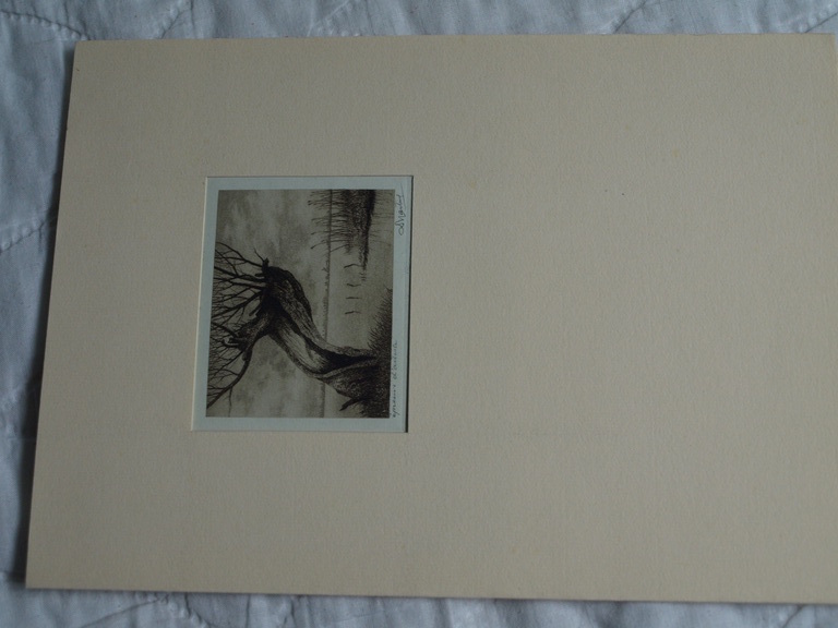 Dirk Harting (1884-1970) : Ets – Knotwilg aan het water – gesigneerd – ca 1935 kopen? Bied vanaf 25!