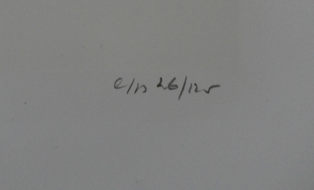 Theo den Boon - Zeefdruk -  e.d 26/125 - 1991 kopen? Bied vanaf 50!