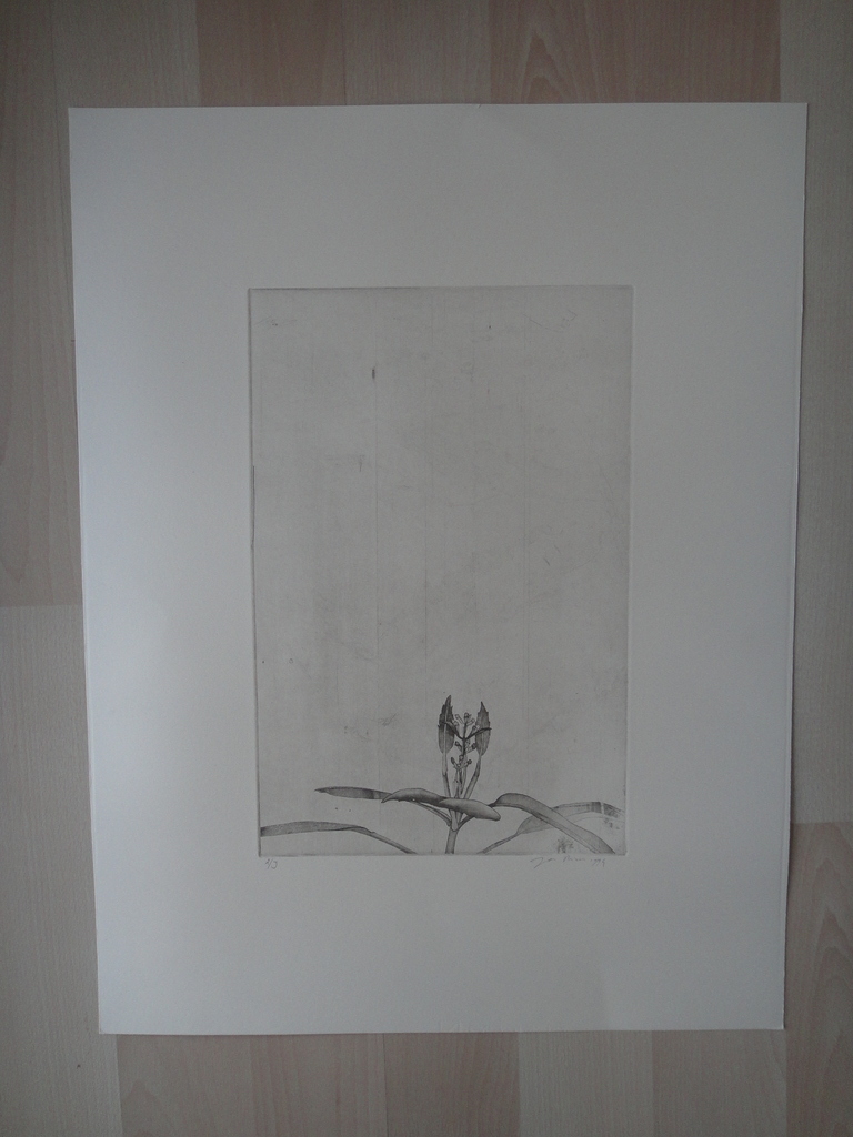 Jan Prins (1956) - (zeldzame) ets - tropische bloemen I kopen? Bied vanaf 1!