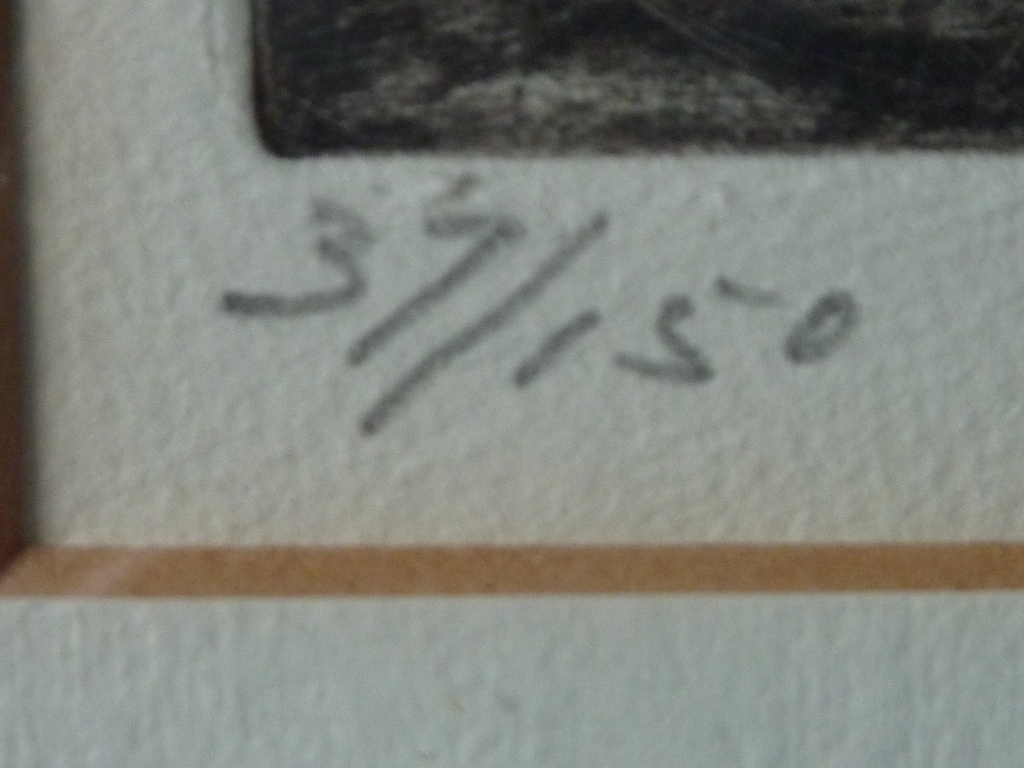 Wim Steijn: Ets/Droge Naald. Bosrand kopen? Bied vanaf 40!