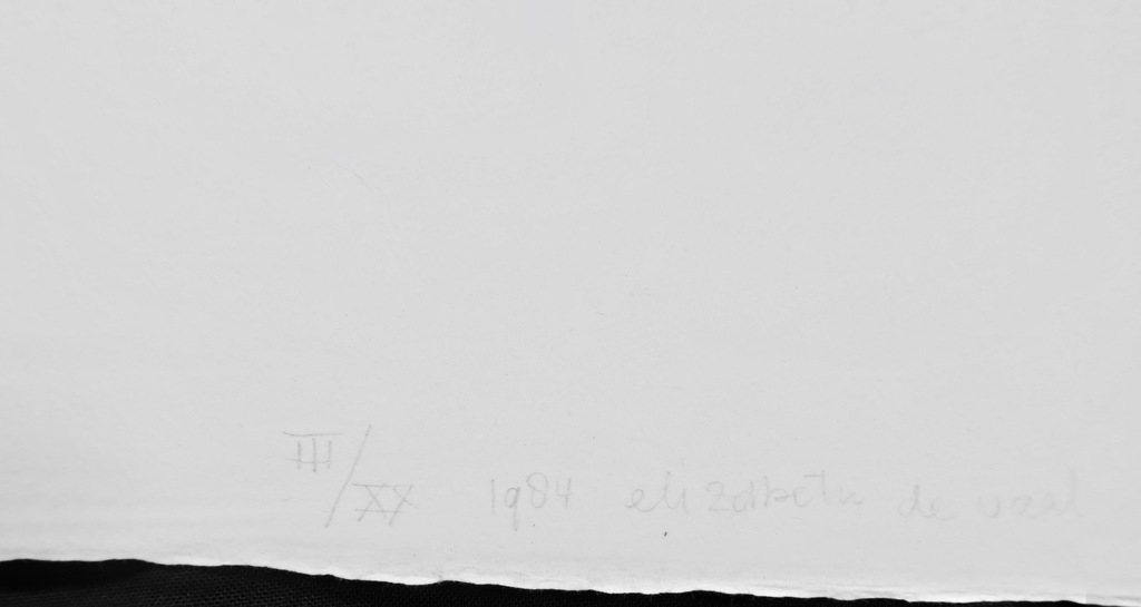 Elizabeth de Vaal: Litho, Van een wijn een druppel kopen? Bied vanaf 1!