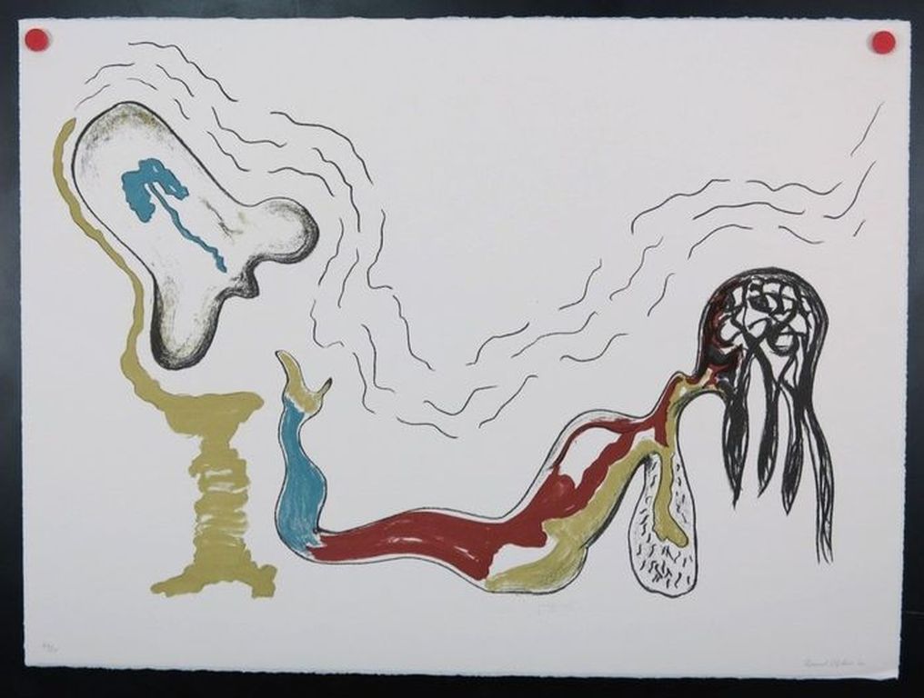 RUUD DIJKERS  Gr Litho (76x56cm)  COMPLICATED  Handgesigneerd kopen? Bied vanaf 45!