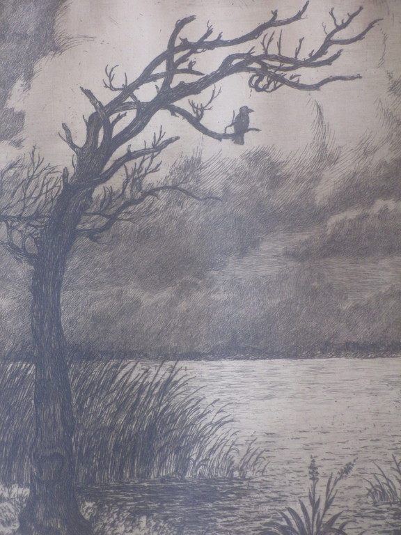 J.C. Nachenius, De Jeneverboom, Ets kopen? Bied vanaf 1!