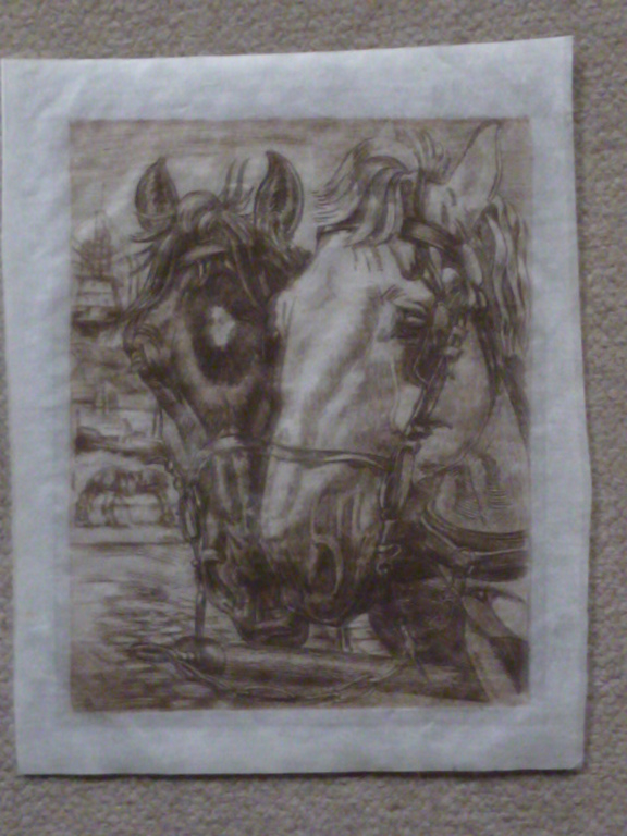 Kuno Brinks - ets - Trekpaarden kopen? Bied vanaf 80!