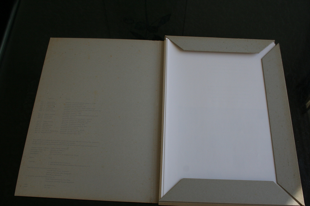 ,Portfolio,Verschoven van het licht tot in de mist,16 dichters over Mondriaan kopen? Bied vanaf 25!