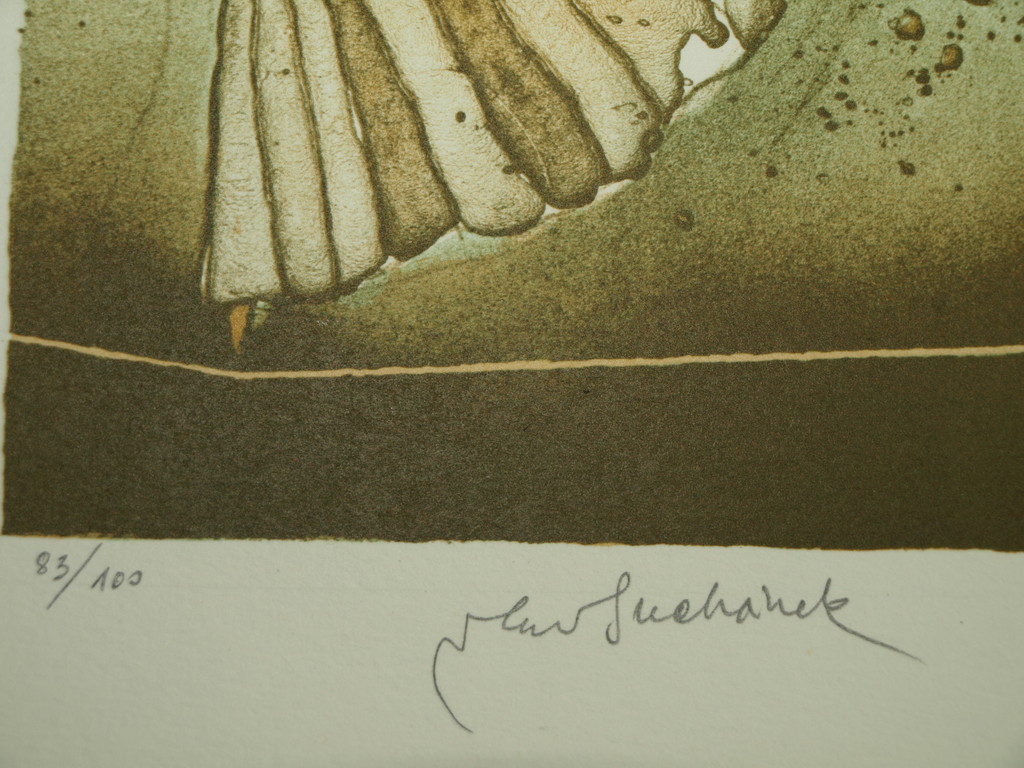 Vladimír Suchánek (1933) : Litho – Koorddanser – Gesigneerd & ingelijst - 2012  kaufen? Bieten Sie von 40!