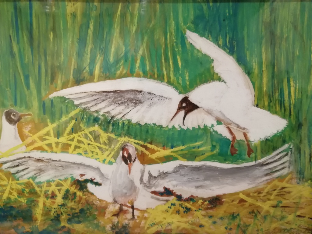 sclilderij waterverf op karton - J.H.Wattez 1882-1932 - wilde zwanen kopen? Bied vanaf 25!