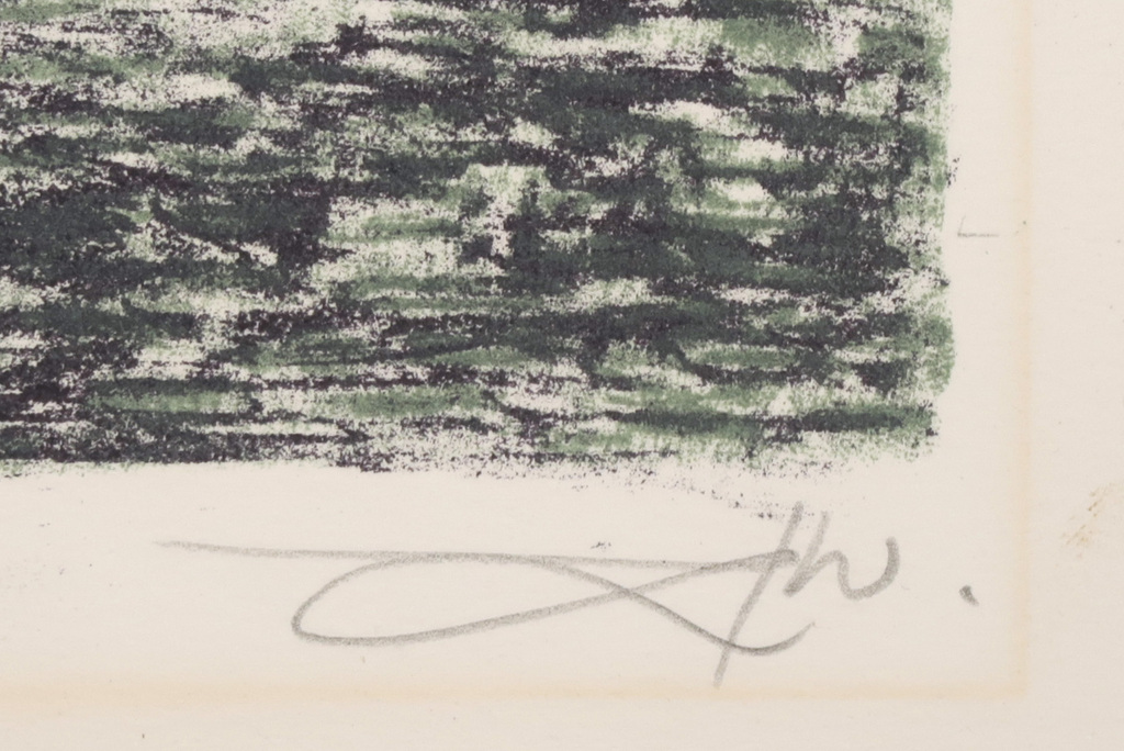 Hermanus J. van Zonneveld: Litho, Z.T. Huis kopen? Bied vanaf 1!