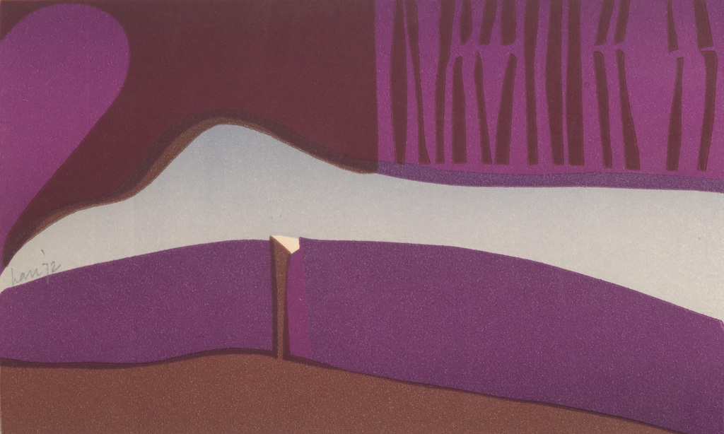 Harr Scheffer: Lino, Zeebranding kopen? Bied vanaf 1!