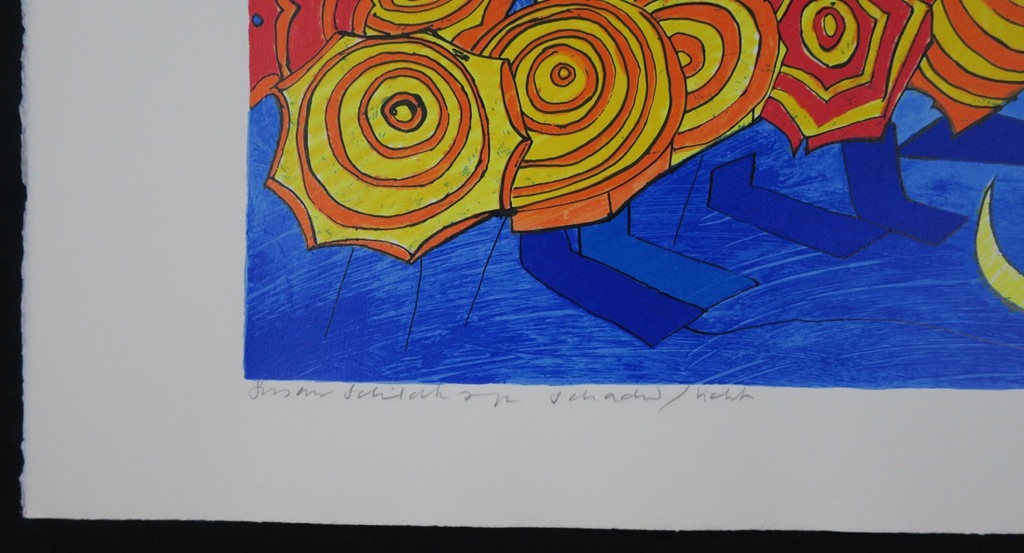 Susan Schildkamp: Zeefdruk, Schaduw/licht kopen? Bied vanaf 1!