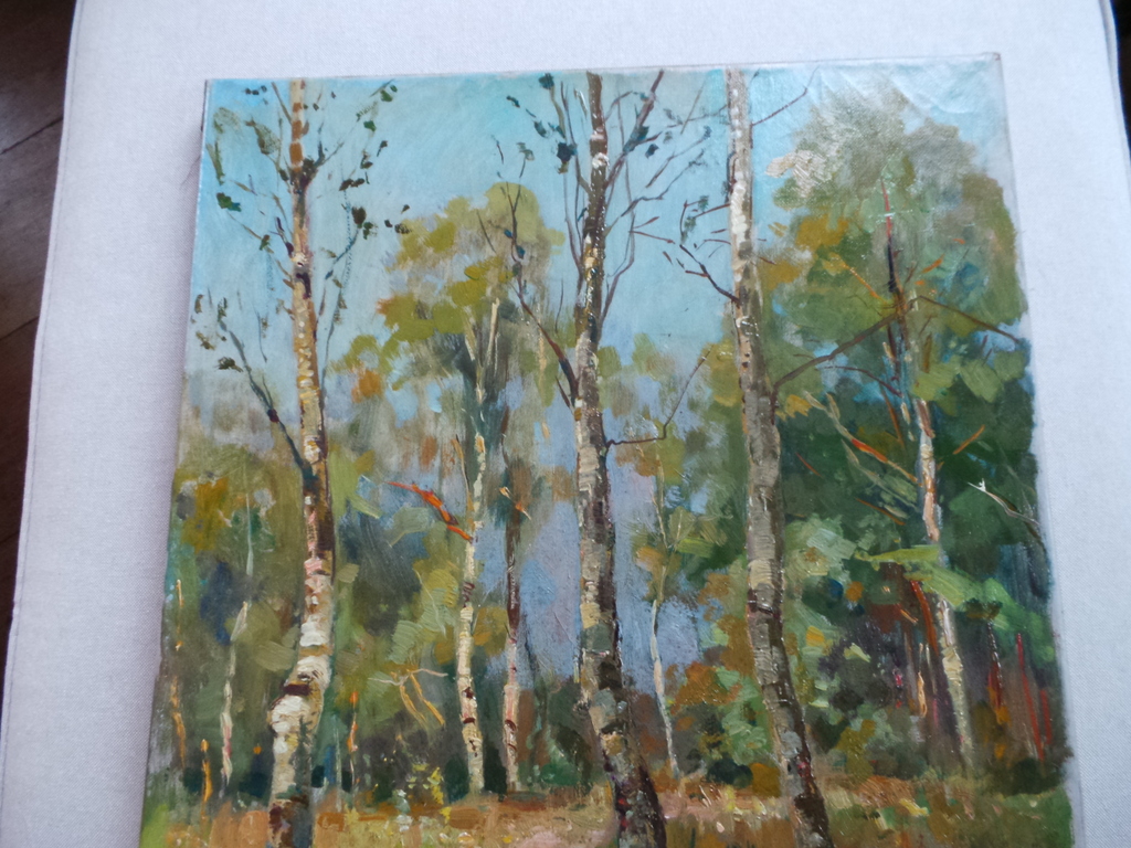 Jan Sirks  kopen? Bied vanaf 65!