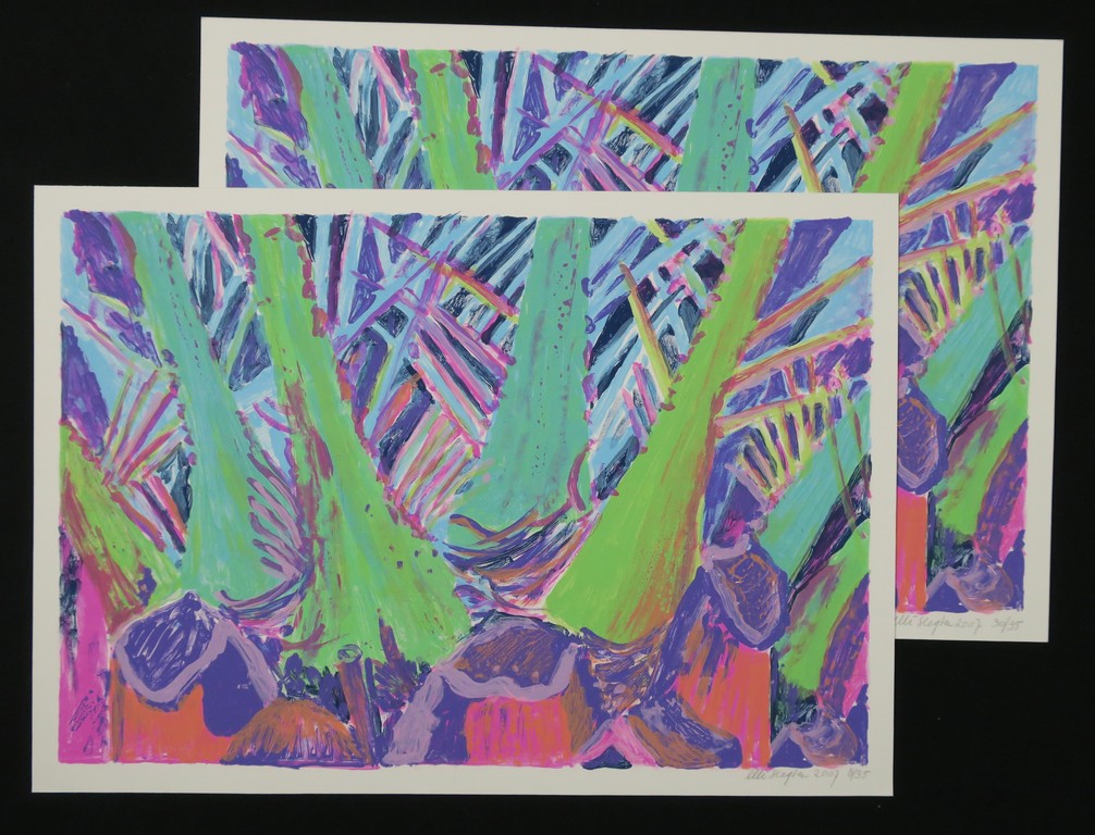 Lot met 2 zeefdrukken van Ellie Slegten: Plaatsmaken kopen? Bied vanaf 1!