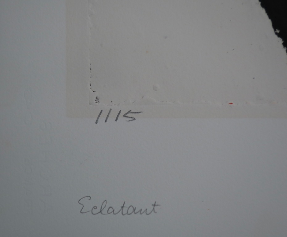 Cees Kortlang: Ets, Eclatant kopen? Bied vanaf 40!