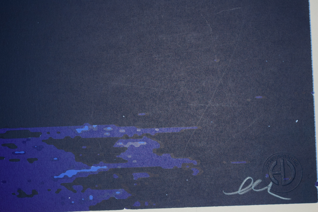 Henk van der Vet - Kleurenzeefdruk - Propeller kopen? Bied vanaf 1!