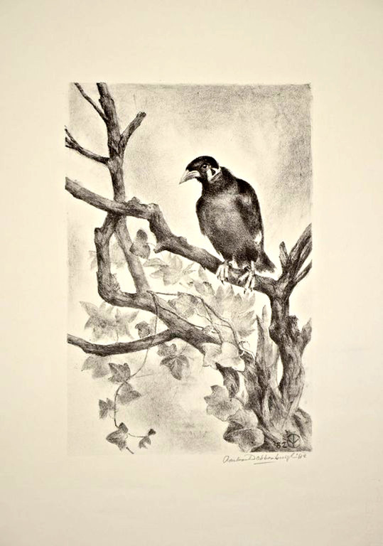 Aart van Dobbenburgh. -BEO-  Litho. Handgesigneerd. 1982. kopen? Bied vanaf 47!