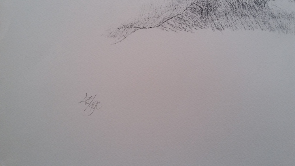 Peter Vos: Schiereiland Melancholie, grote litho  kopen? Bied vanaf 60!